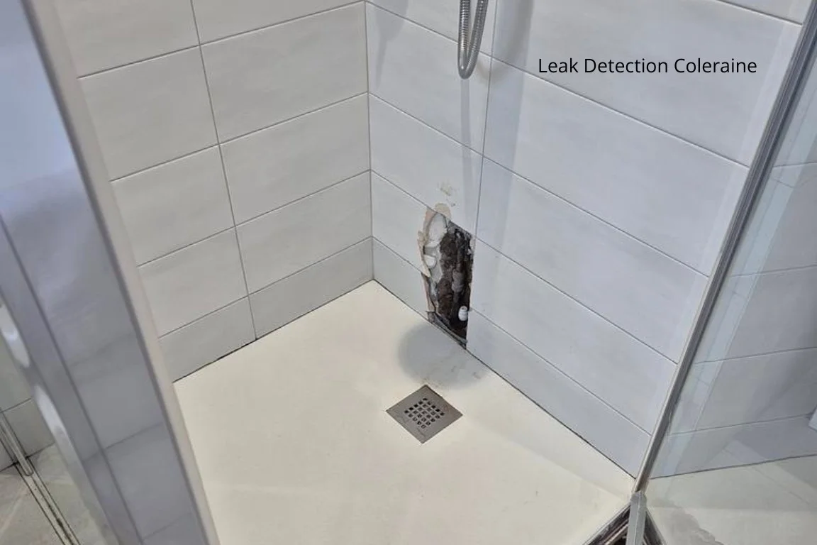 Leak Detection Coleraine