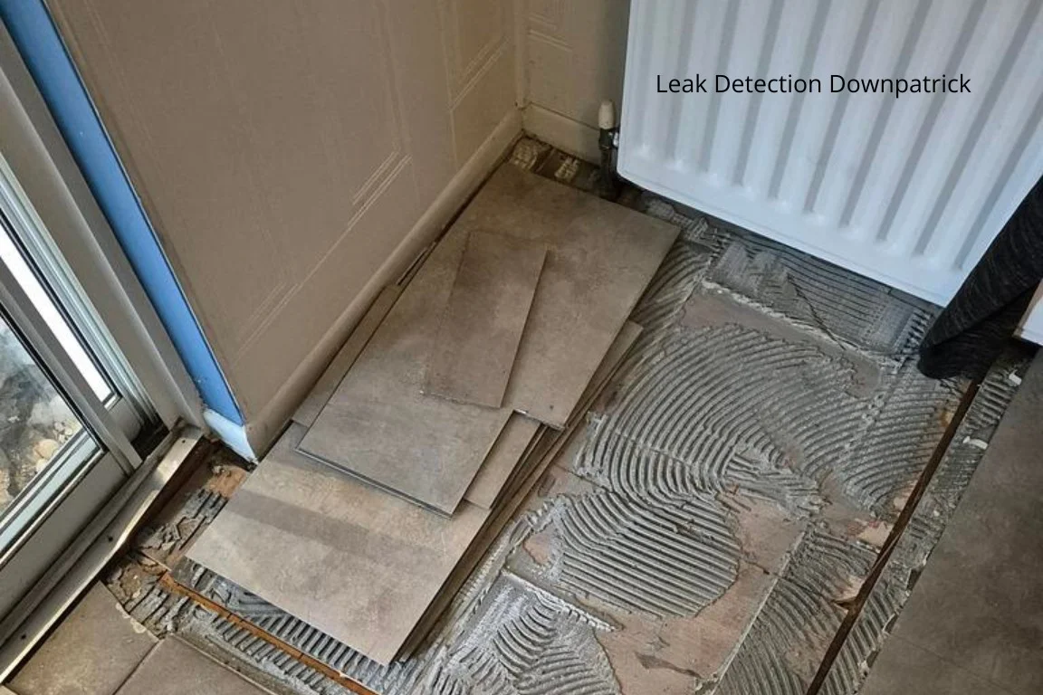 Leak Detection Downpatrick