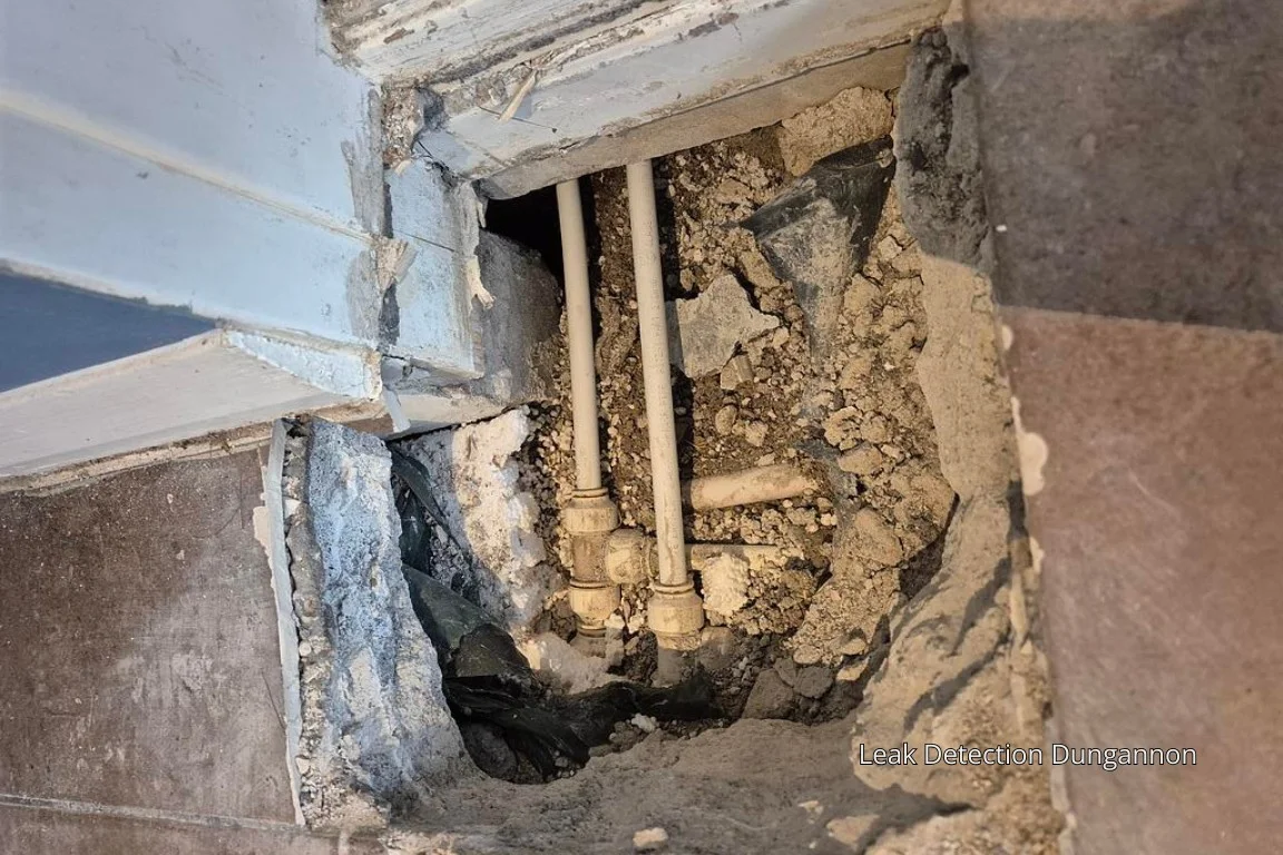 Dungannon Leak Detection