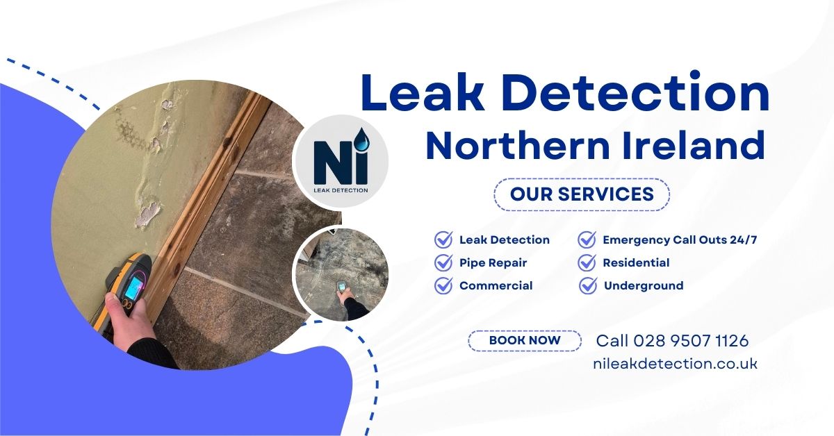 NI Leak Detection Service Area
