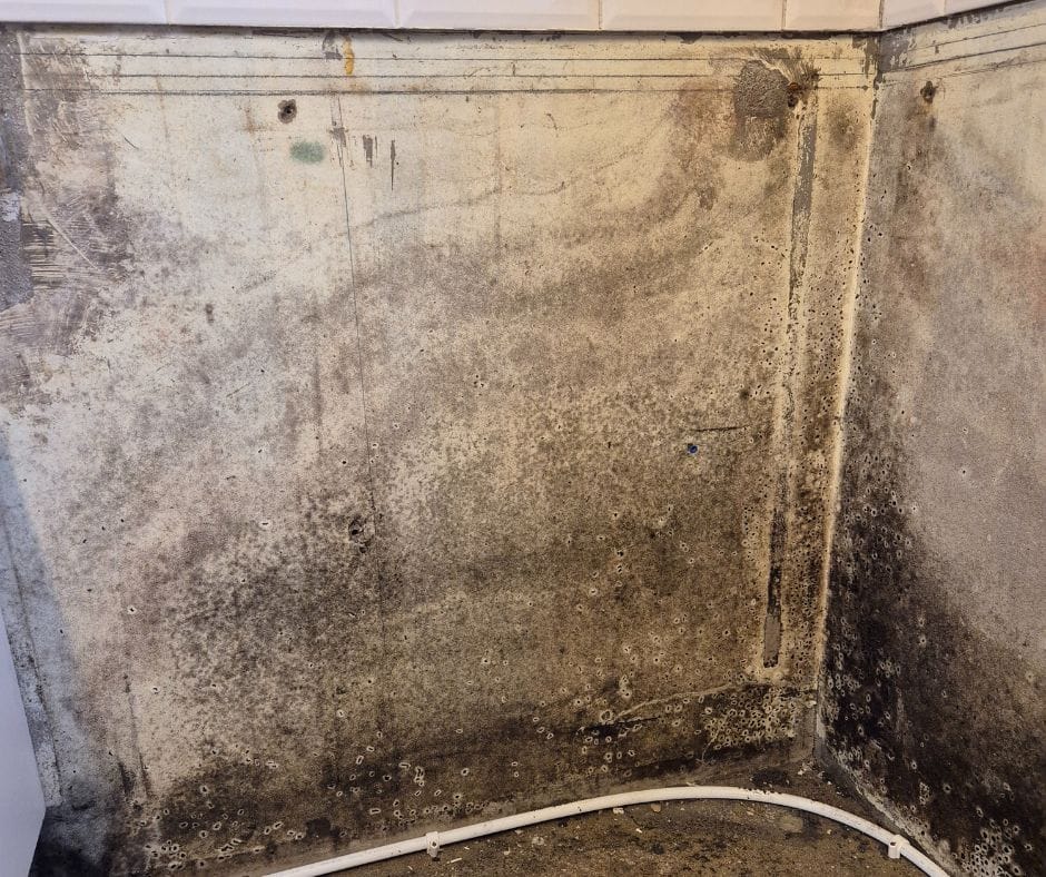 Mould growth following a hidden leak