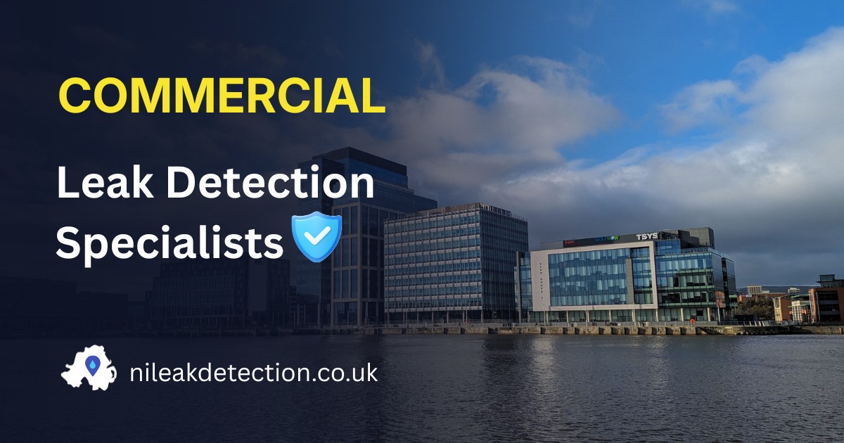 Commercial Leak Detection Service | Leak Detection Specialists