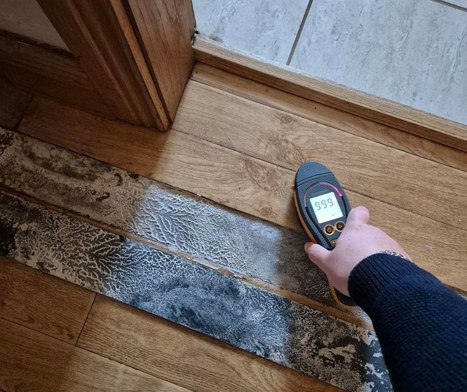 Handheld moisture meter checking flooring beside a doorway